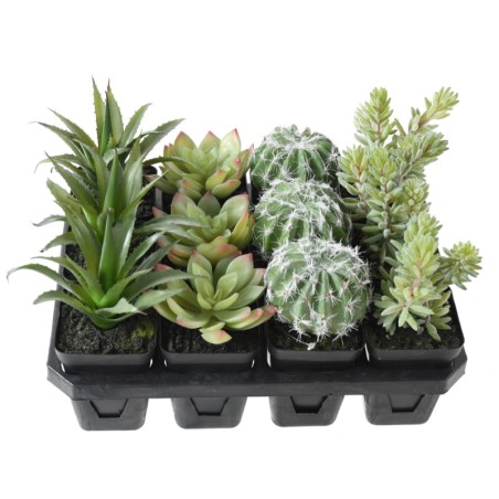 Assortiment 12 succulentes artificielles en pot | Artiflor