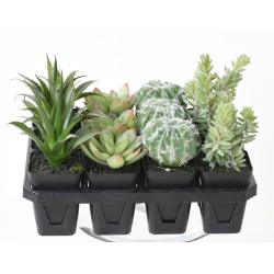 Assortiment 12 succulentes artificielles en pot | Artiflor