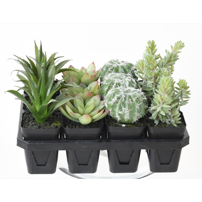 Assortiment 12 succulentes artificielles en pot | Artiflor