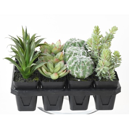 Assortiment 12 succulentes artificielles en pot | Artiflor
