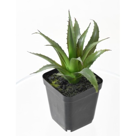 Assortiment 12 succulentes artificielles en pot | Artiflor