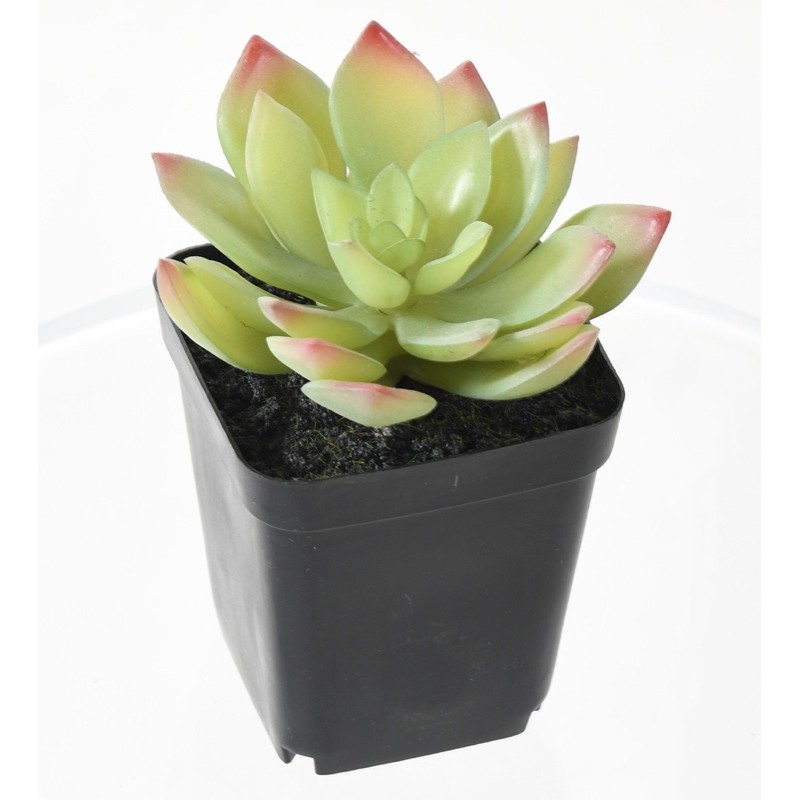 Assortiment 12 succulentes artificielles en pot | Artiflor