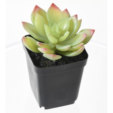 Assortiment 12 succulentes artificielles en pot | Artiflor
