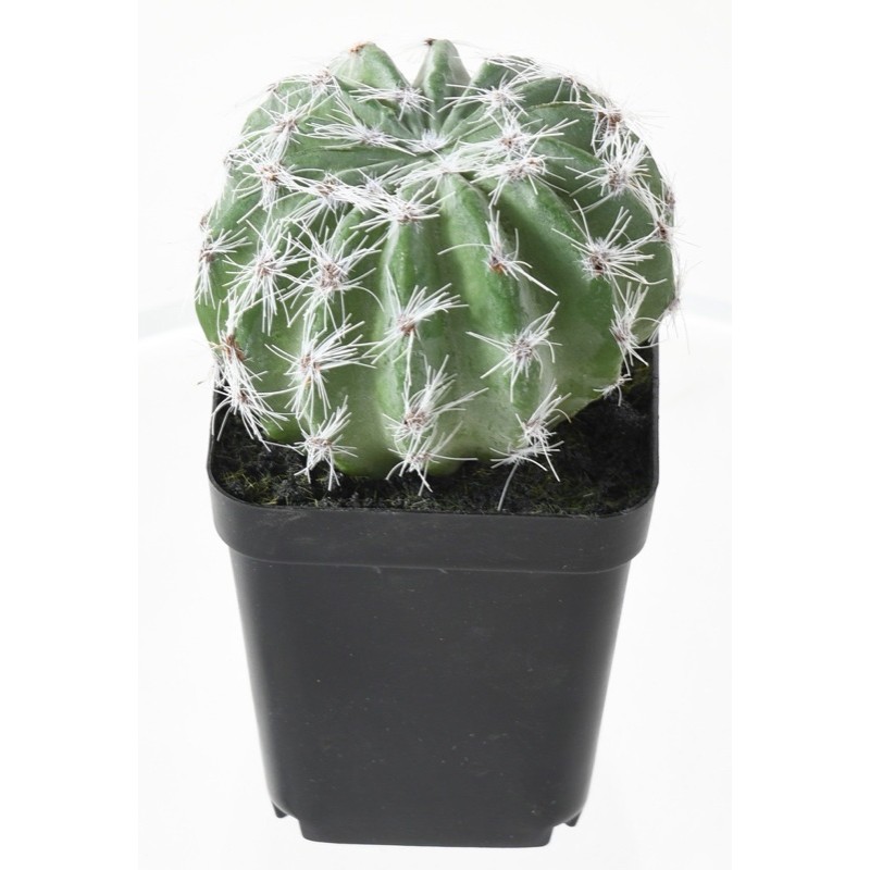 Assortiment 12 succulentes artificielles en pot | Artiflor