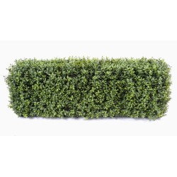 Haie de buis artificielle sur structure métal | Artiflor