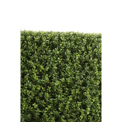 Haie de buis artificielle sur structure métal | Artiflor