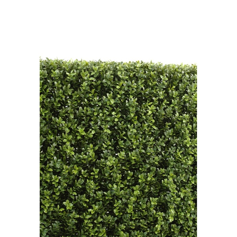 Haie de buis artificielle sur structure métal | Artiflor