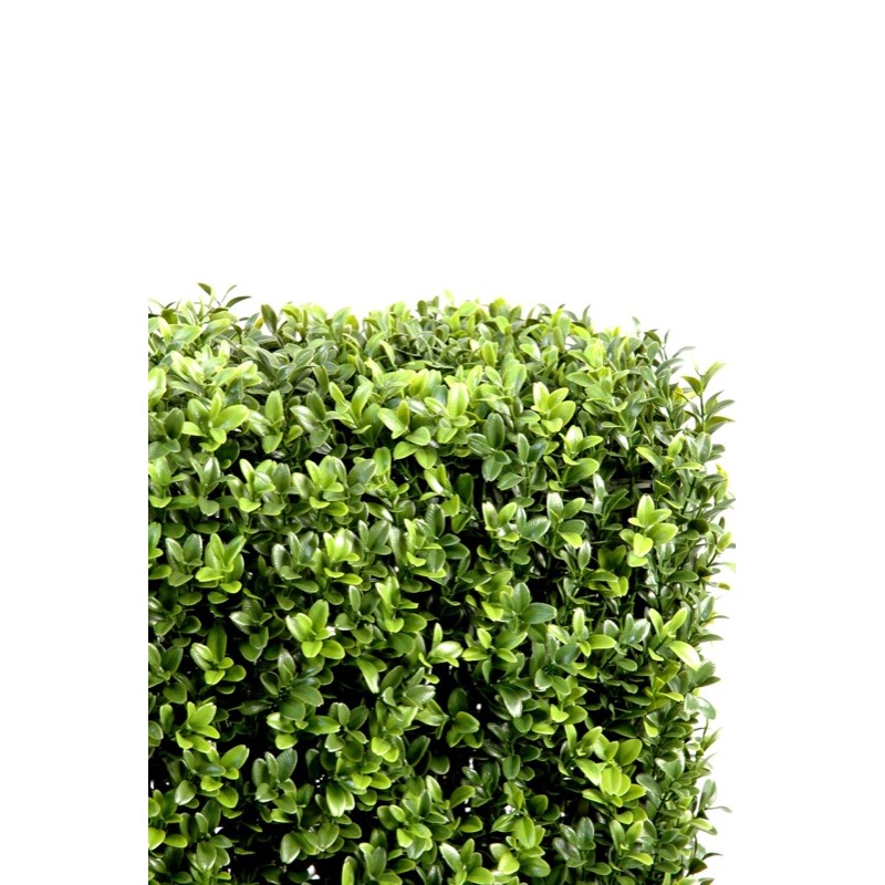 Haie de buis artificielle sur structure métal | Artiflor
