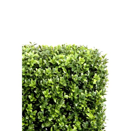 Haie de buis artificielle sur structure métal | Artiflor