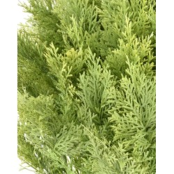 Cyprès boule artificiel en pot 70 ou 80 cm | Artiflor