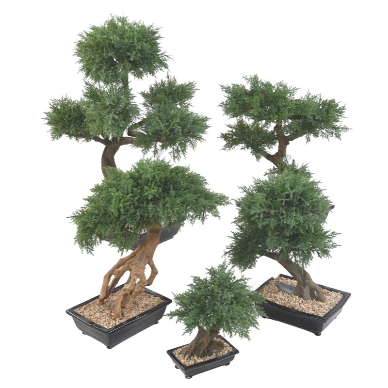 Bonsaï juniperus artificiel en coupe céramique | Artiflor