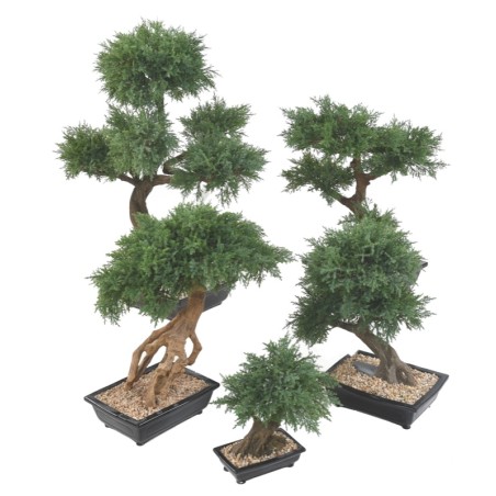 Bonsaï juniperus artificiel en coupe céramique | Artiflor