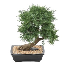 Bonsaï juniperus artificiel en coupe céramique | Artiflor