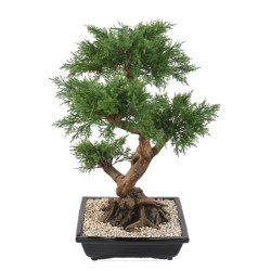 Bonsaï juniperus artificiel en coupe céramique | Artiflor