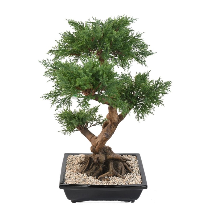 Bonsaï juniperus artificiel en coupe céramique | Artiflor