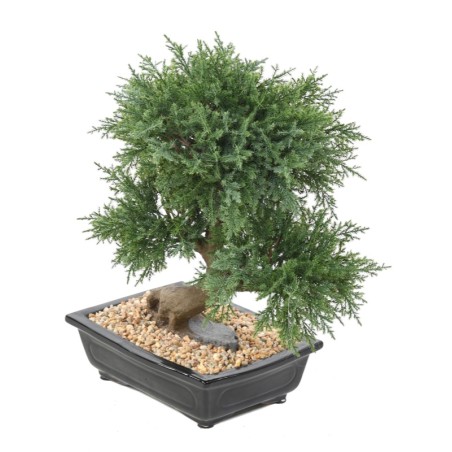 Bonsaï juniperus artificiel en coupe céramique | Artiflor