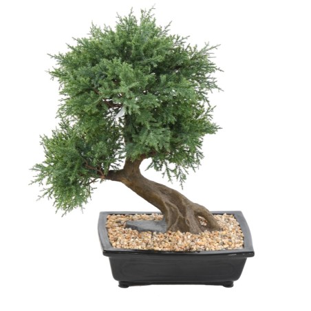 Bonsaï juniperus artificiel en coupe céramique | Artiflor