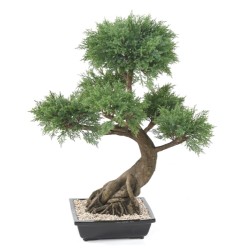 Bonsaï juniperus artificiel en coupe céramique | Artiflor