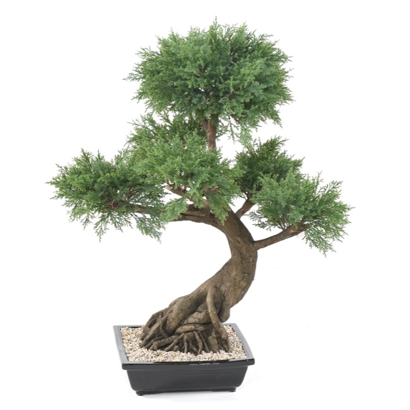 Bonsaï juniperus artificiel en coupe céramique | Artiflor