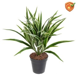 Chlorophytum artificiel anti-feu buisson panaché