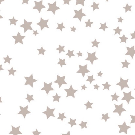 Rouleau polypro Volga argent - détail du motif étoiles