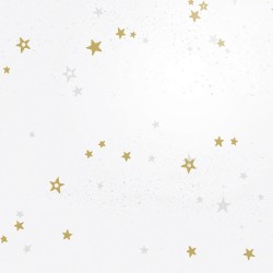 Rouleau polypro Star - détail des étoiles dorées