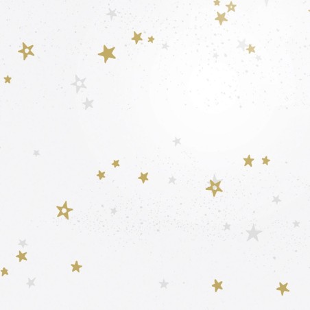 Rouleau polypro Star - détail des étoiles dorées