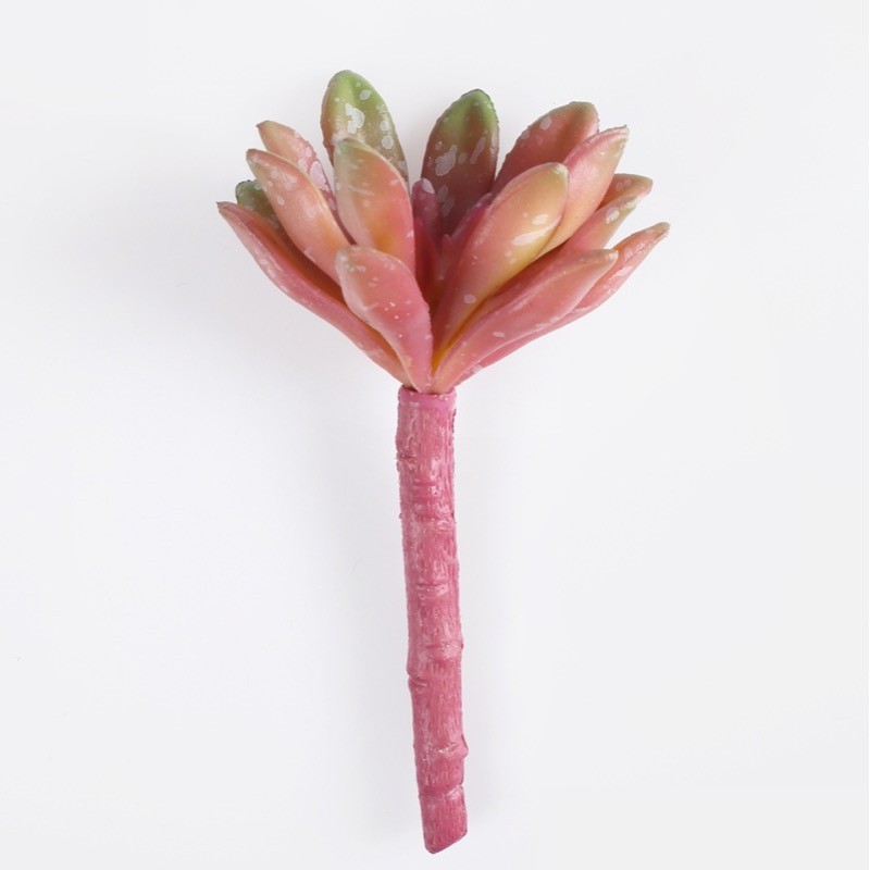 Crassula artificielle bordeaux sur tige 13 cm