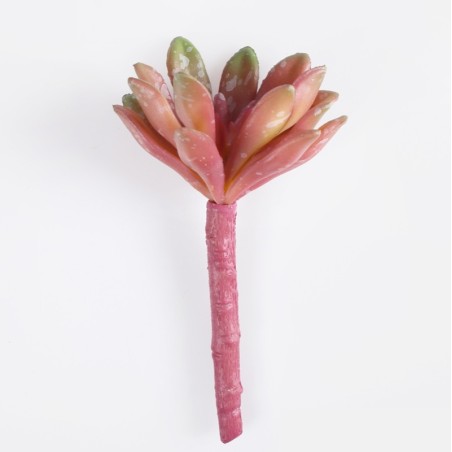 Crassula artificielle bordeaux sur tige 13 cm