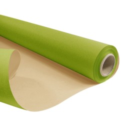Rouleau kraft 120 m vert
