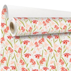Rouleau kraft Aube brique