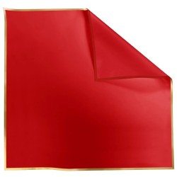 Rame Carré Opaline liseré or rouge