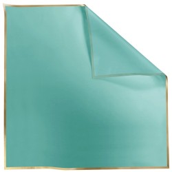 Rame Carré Opaline liseré or sauge