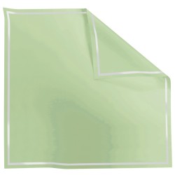 Rame Carré Opaline liseré transparent vert amande