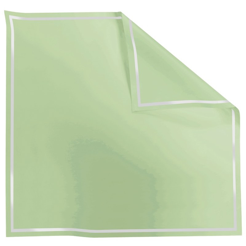 Rame Carré Opaline liseré transparent vert amande