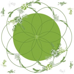 Rame polypro Honesty verte