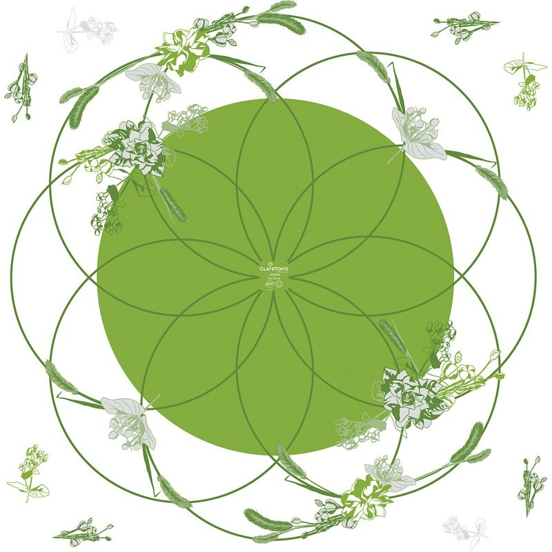 Rame polypro Honesty verte