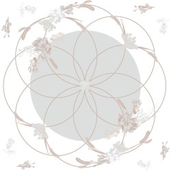 Rame polypro Honesty blanche