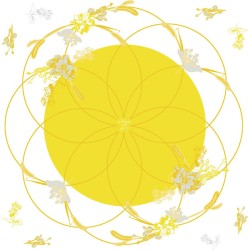Rame polypro Honesty jaune