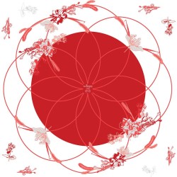 Rame polypro Honesty rouge