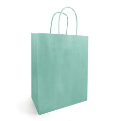 Sac kraft vert d'eau à poignées torsadées
