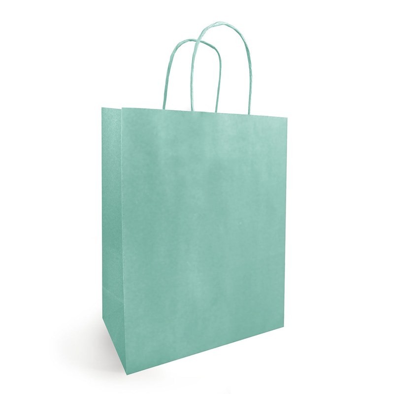 Sac kraft vert d'eau à poignées torsadées