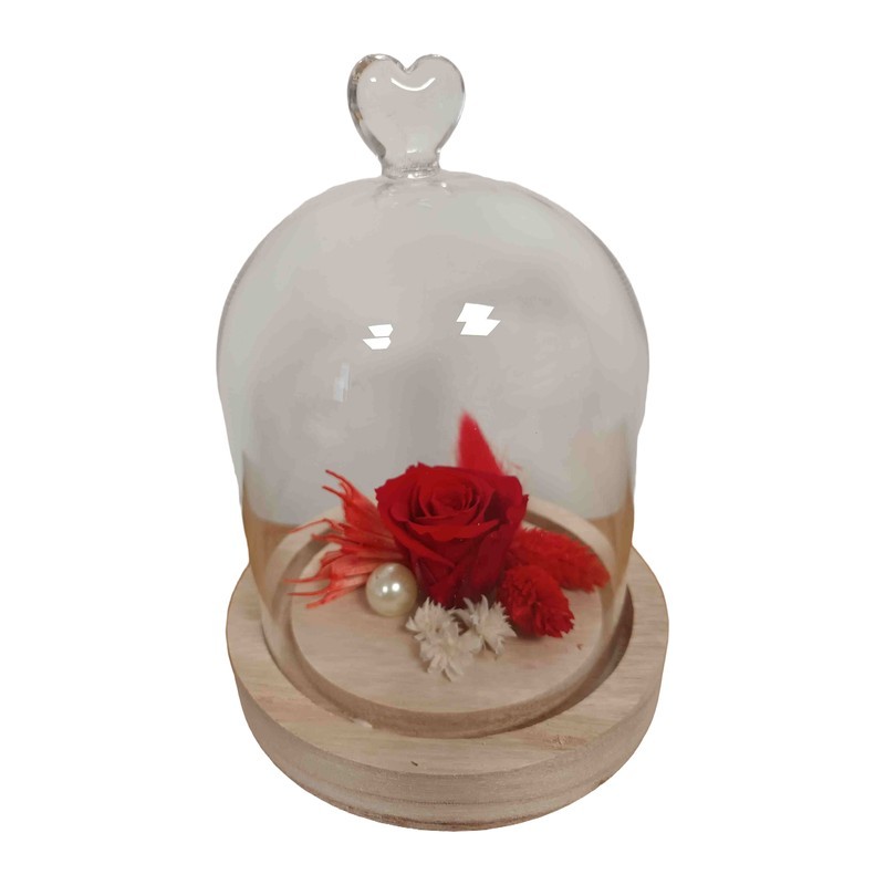 Composition florale rose éternelle rouge sous cloche cœur Romance Small - Artiflor