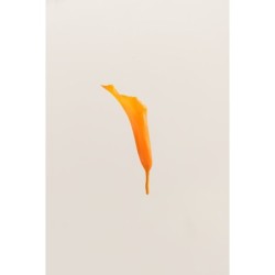 Mini-calla stabilisé jaune soleil – grossiste fleurs stabilisées Artiflor