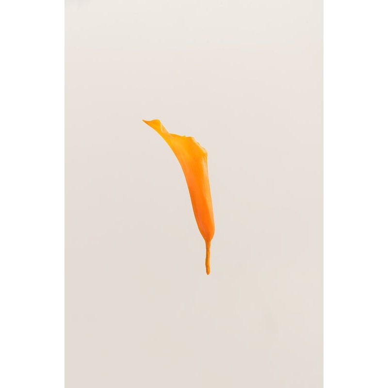 Mini-calla stabilisé jaune soleil – grossiste fleurs stabilisées Artiflor