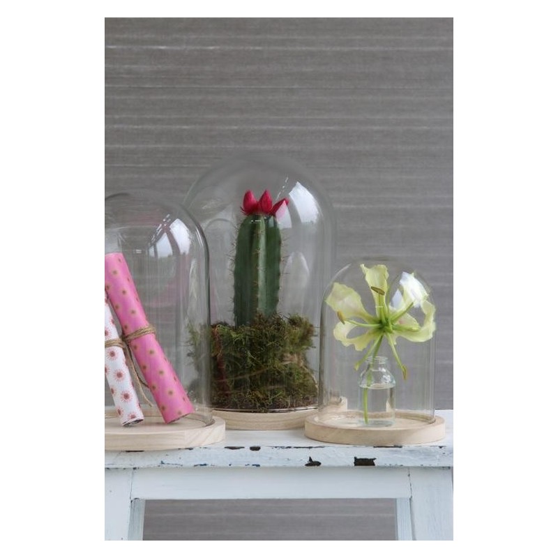 Cloche en verre sur socle bois Ø12 H.16 cm – verrerie déco en gros