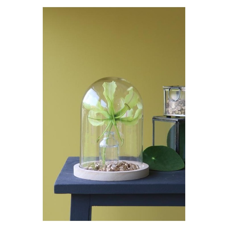 Cloche en verre sur socle bois Ø12 H.16 cm – verrerie décorative pour fleuristes et décorateurs à prix grossiste