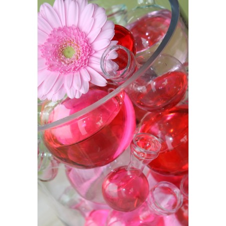 Colorant pour eau rouge 150 ml – grossiste en fournitures pour fleuristes