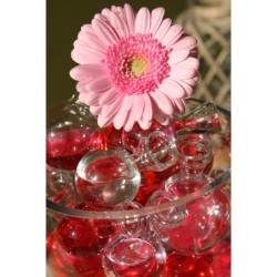 Colorant pour eau rouge 150 ml – fournitures fleuriste en gros