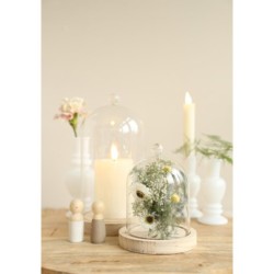 Cloche en verre bouton verre sur socle bois Ø14 H.24 cm – vente en gros verrerie pour fleuristes